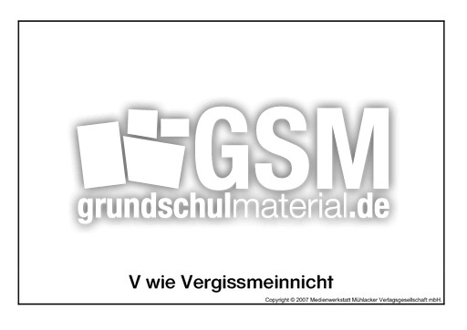 V-wie-Vergissmeinnicht.pdf